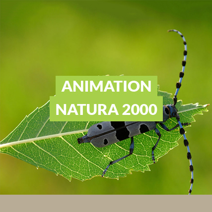 Animation Natura 2000
