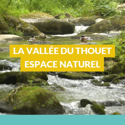 vallee du thouet