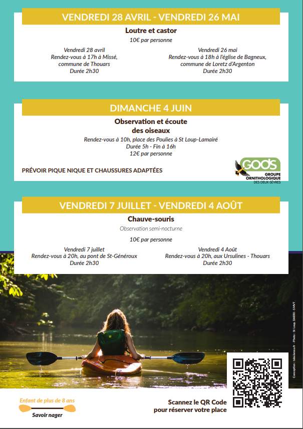 le cas du castor basile gerbaud