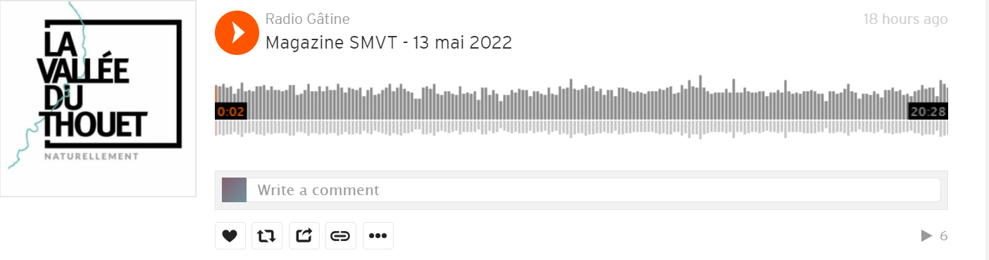 Emission sur le Printemps du Thouet 2022 (mai 2022)