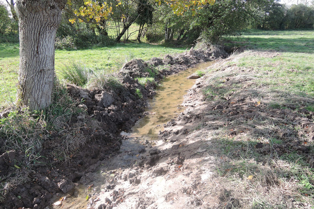 cours d'eau piétiné par le bétail