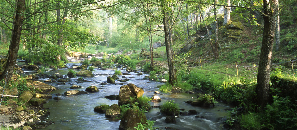 Natura2000 les enjeux