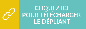 bouton de téléchargement